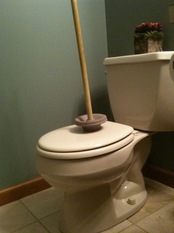 toilet and plunger.jpg